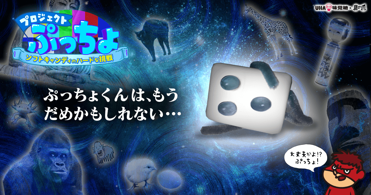 ぷっちょ 公式】ぷっちょ袋 4種アソート - UHA味覚糖 ぷっちょ